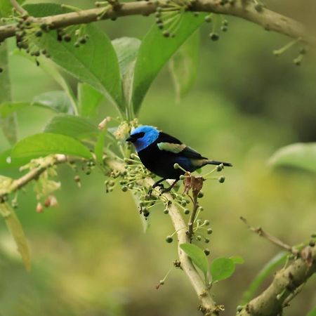 Finca Jardin Del Agua سازايما المظهر الخارجي الصورة