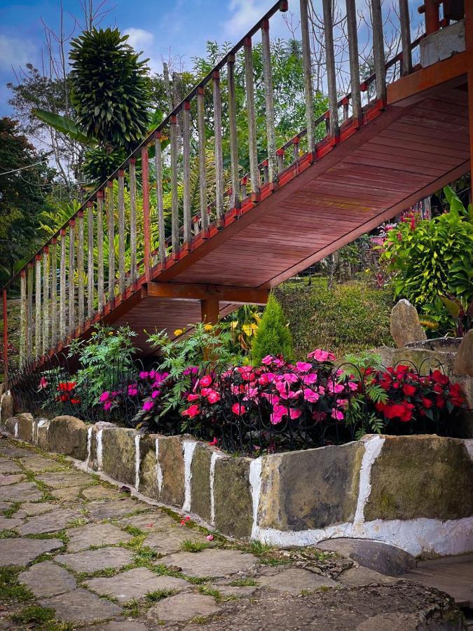 Finca Jardin Del Agua سازايما المظهر الخارجي الصورة