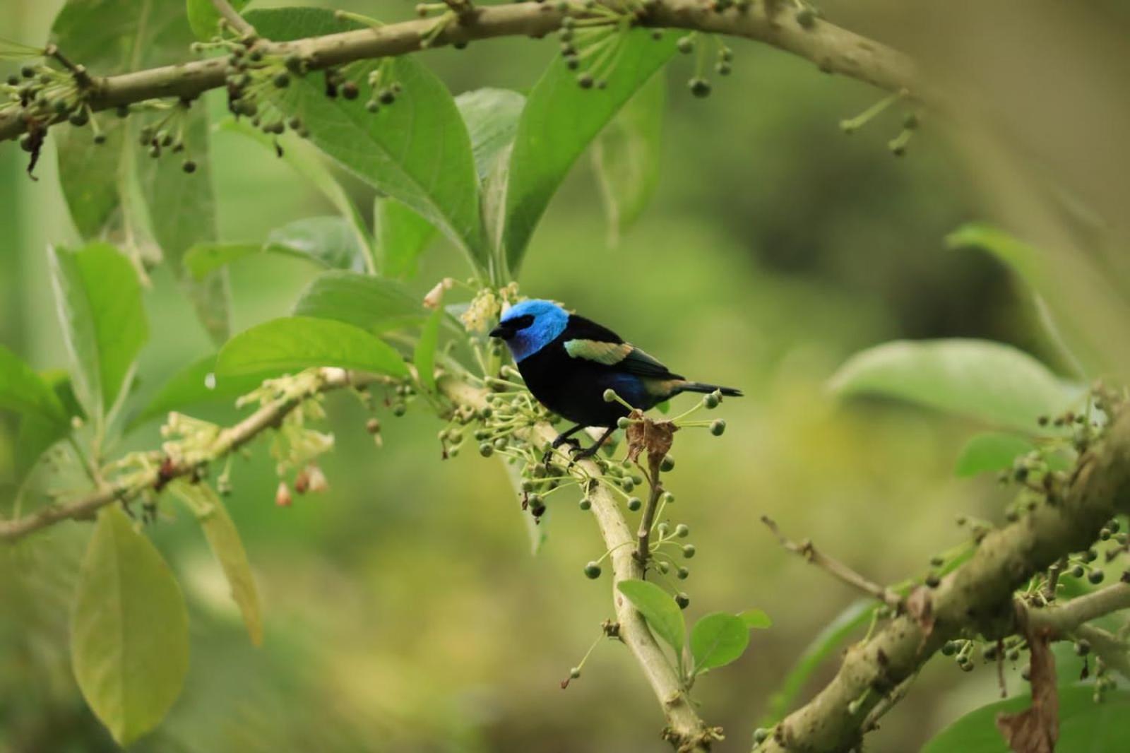 Finca Jardin Del Agua سازايما المظهر الخارجي الصورة