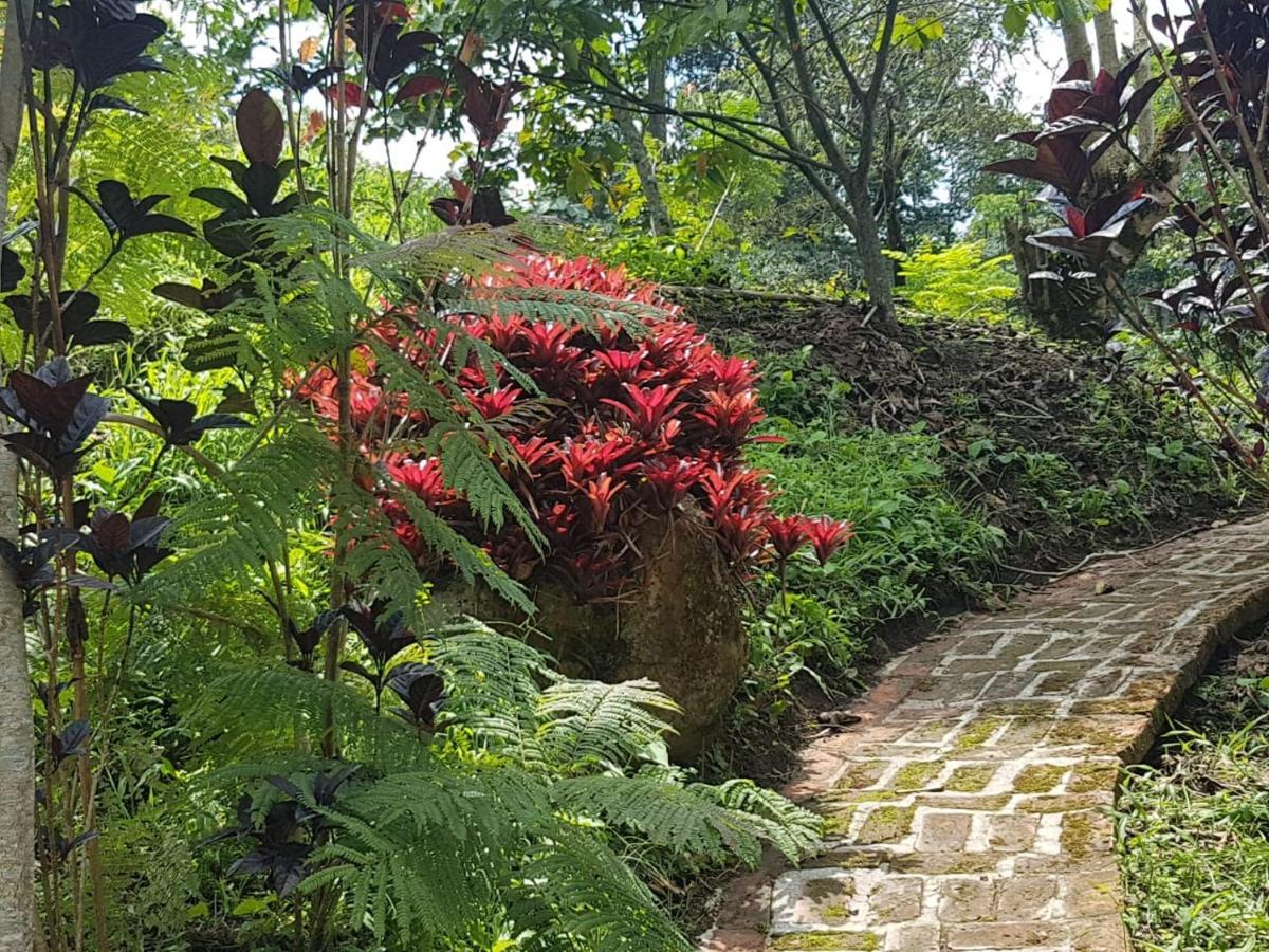 Finca Jardin Del Agua سازايما المظهر الخارجي الصورة