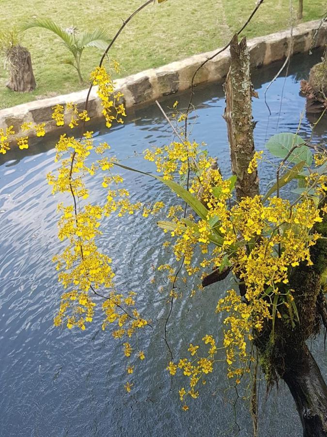 Finca Jardin Del Agua سازايما المظهر الخارجي الصورة