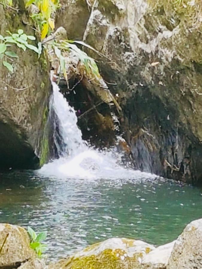 Finca Jardin Del Agua سازايما المظهر الخارجي الصورة