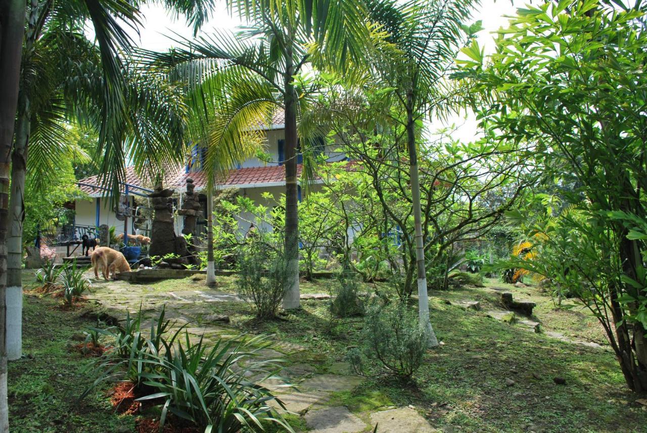 Finca Jardin Del Agua سازايما المظهر الخارجي الصورة